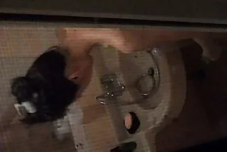 لقد تذوقت الحليب من مقاطع فيديو سكس عربي واجنبي ثدي زوجتي ومارس الجنس معها