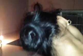 الجار الأشقر مقطع فيديوسكس عربي الذي تم ضخه يعطي نيك كس