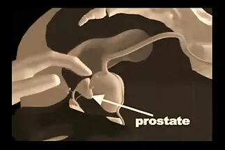 ذهبت مقاطع سكس عربي فيديو شهية الكلبة لممارسة الجنس مع رجل والتقت بالحيوانات المنوية.