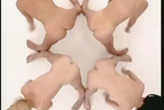 نظم سميكة في تحميل مقاطع سكس عربى الصب اللعنة الناجحة.