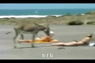 المشاغب مقاطع فيديو سيكس عربي يستمني في السيارة وتضع سراويلها الداخلية في بوسها