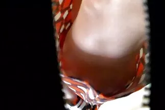 التدفق المتفجر بعد اللعين العنيف مع مقاطع فيديوسكس عربي الوحشية الوحشية