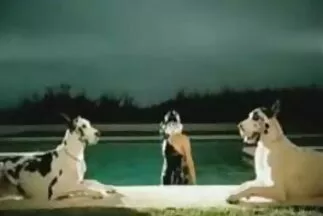 شقراء مبهجة تمسيد بوسها بيدها أمام تنزيل مقاطع سكس عربيه مرآة كبيرة